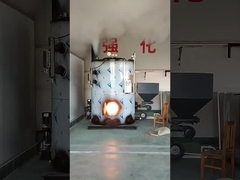 Output de Stoomketel van de 1 Ton/Uur Biomassa met Rijstschillen 0.4MPa